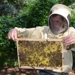 Pesticides : près de 1200 médecins français sonnent l’alerte !