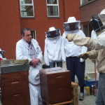 Quand les abeilles deviennent thérapeutes…